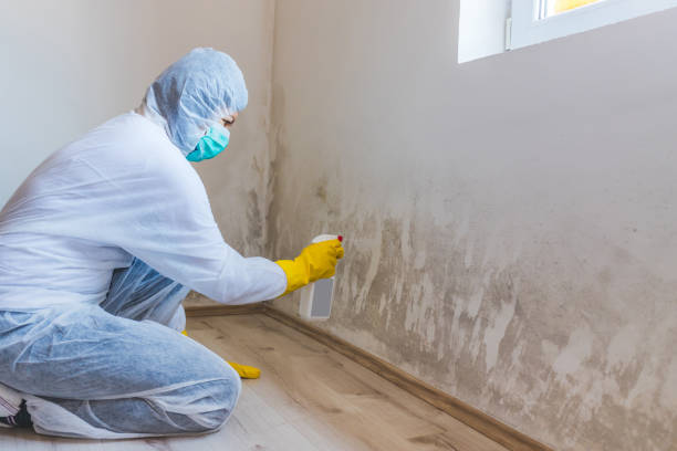 Mold Remediation specialist working in Nokesville